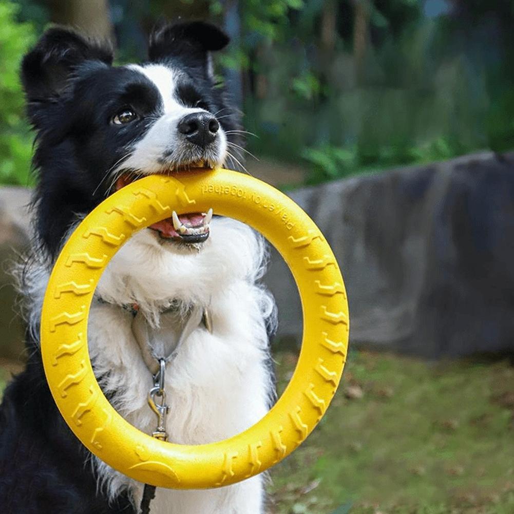 Pet Dental Chew Toy - Köpek Oyuncakları: Kırılmaz, Çiğneme, Uçma, Yüzme,
