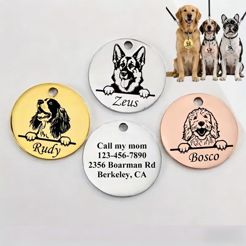 Pet Supplies Direct - Özel Evcil Hayvan İsimli Köpek Kaybolma