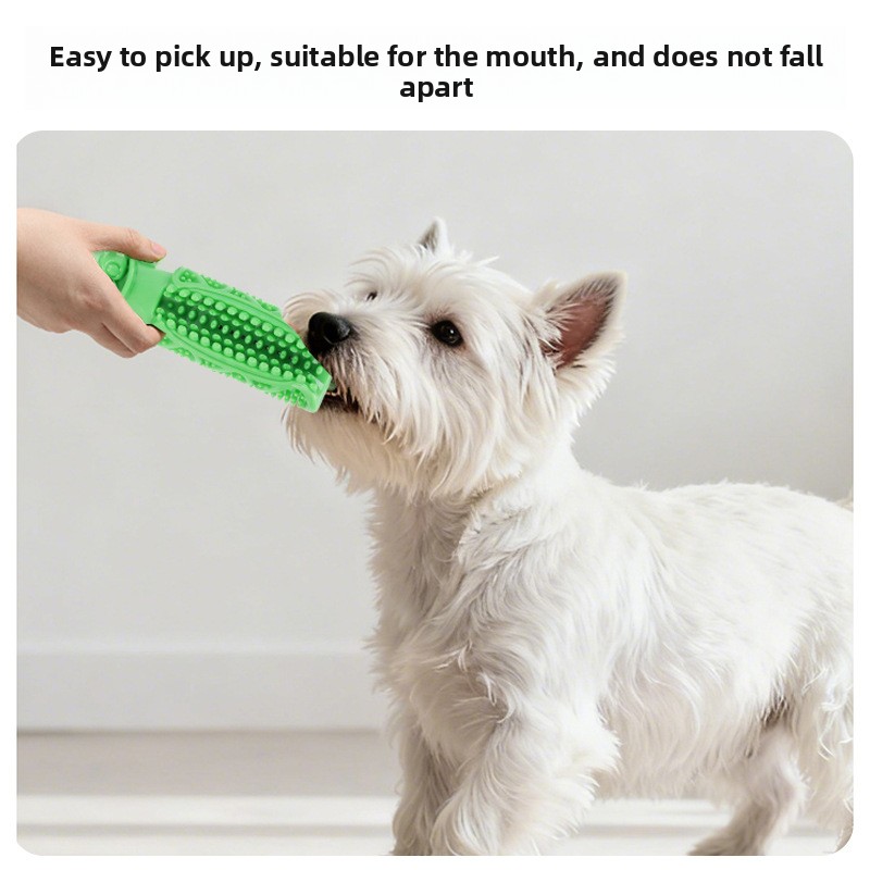 Köpek Diş Temizleme Çiğneme Oy - Pet Dental Chew Toy incelemesi ve fiyatı