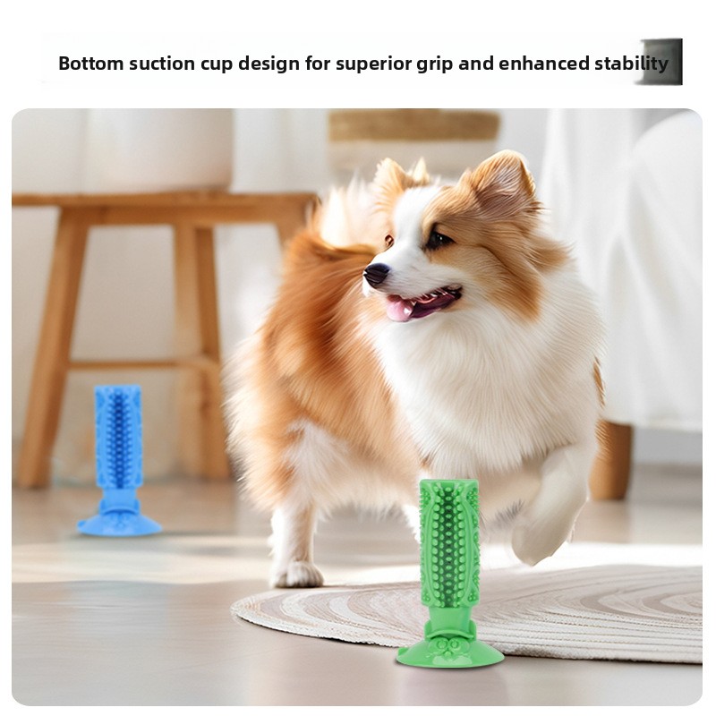 Köpek Diş Temizleme Çiğneme Oy - Pet Dental Chew Toy incelemesi ve fiyatı