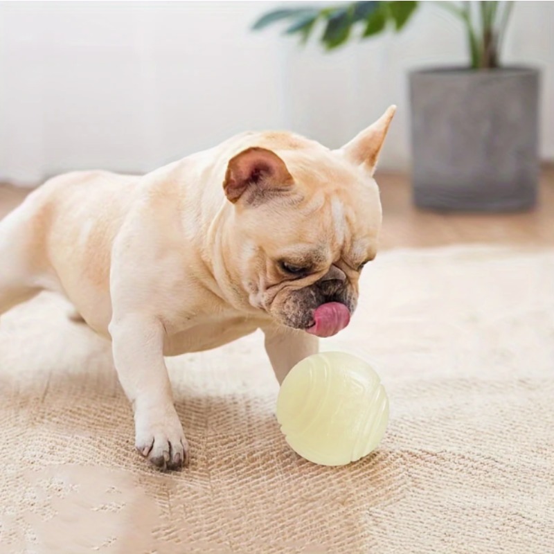 Karanlıkta Parlayan Kauçuk Köp - Pet Dental Chew Toy incelemesi ve fiyatı