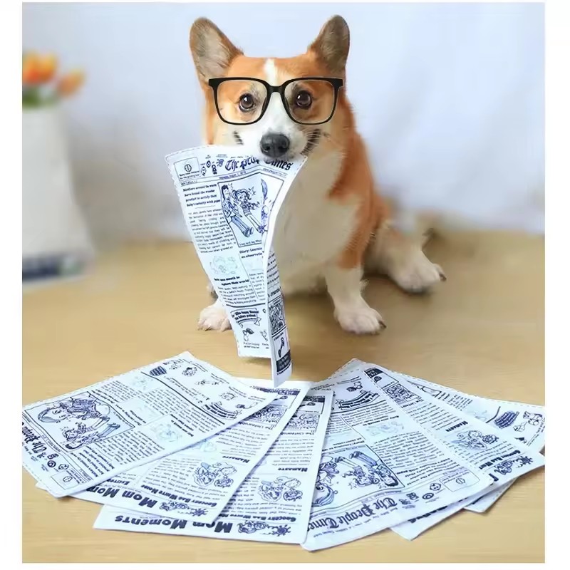 Isırmaya dayanıklı gazete kağı - Pet Dental Chew Toy incelemesi ve fiyatı