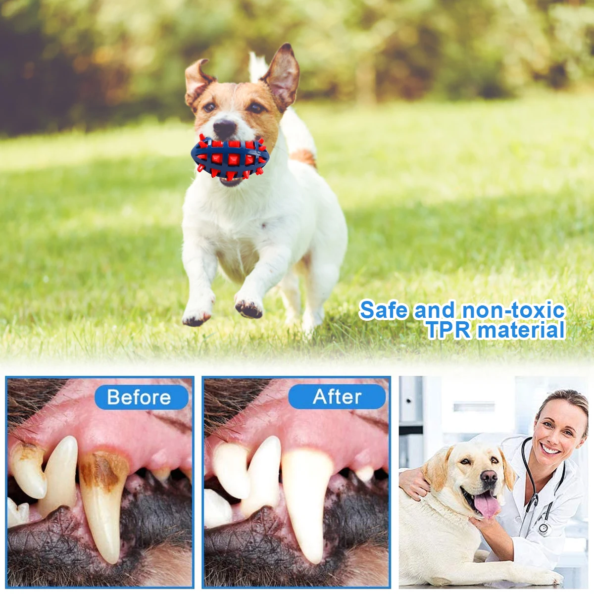 1/2 adet gıcırtılı köpek çiğne - Pet Dental Chew Toy incelemesi ve fiyatı