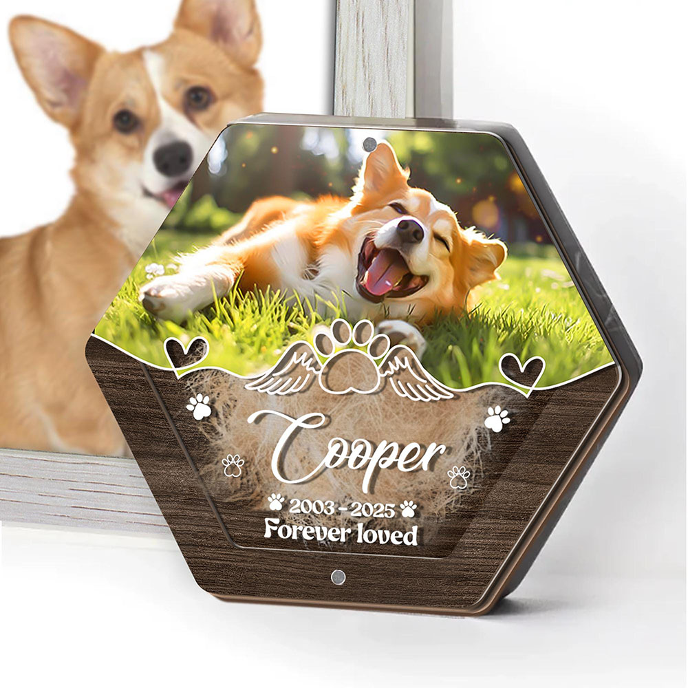 Kişiselleştirilmiş Adı Ahşap O - Pet Supplies Direct incelemesi ve fiyatı