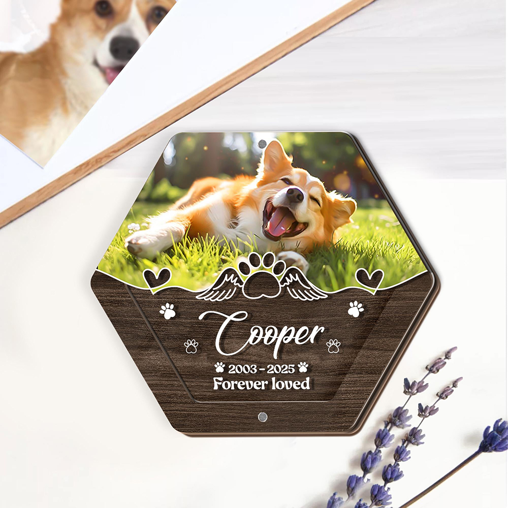 Kişiselleştirilmiş Adı Ahşap O - Pet Supplies Direct incelemesi ve fiyatı