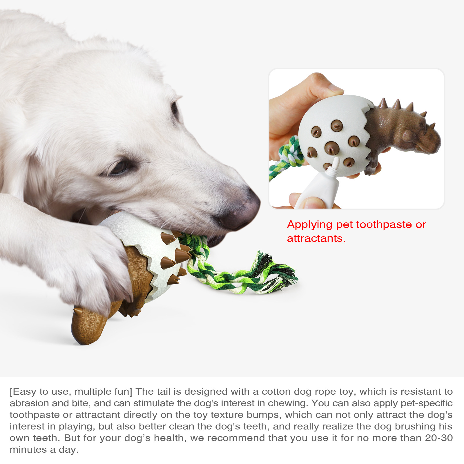 Dinozor Yumurtası Köpek Molar  - Pet Dental Chew Toy incelemesi ve fiyatı