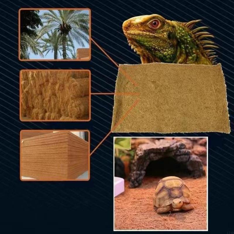 L74D Küçük Hayvanlar için Daya - Cat Litter Mat incelemesi ve fiyatı