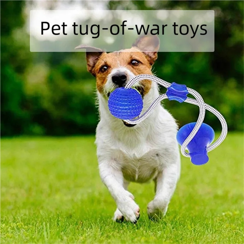 Dayanıklı Vakumlu Tutuculu Köp - Pet Dental Chew Toy incelemesi ve fiyatı