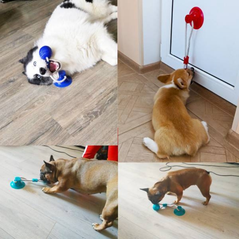 Dayanıklı Vakumlu Tutuculu Köp - Pet Dental Chew Toy incelemesi ve fiyatı