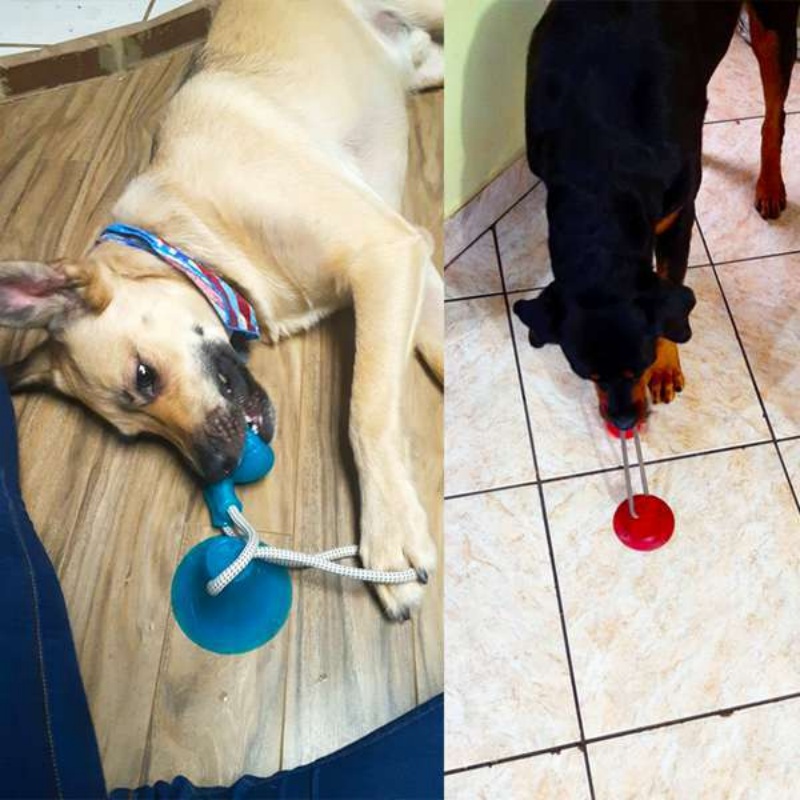 Dayanıklı Vakumlu Tutuculu Köp - Pet Dental Chew Toy incelemesi ve fiyatı