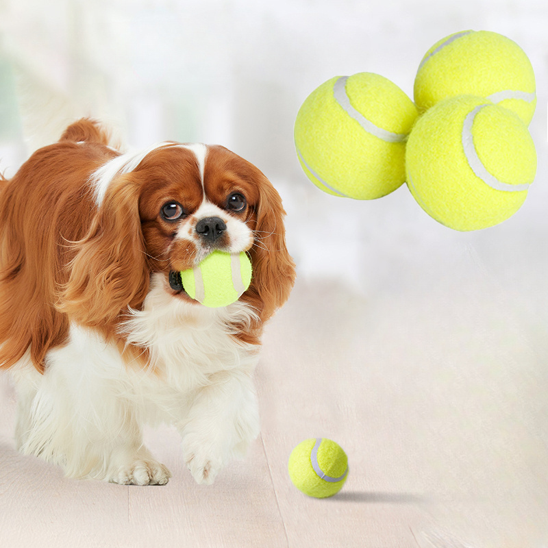 İnteraktif Çizgili Kauçuk Teni - Pet Dental Chew Toy incelemesi ve fiyatı