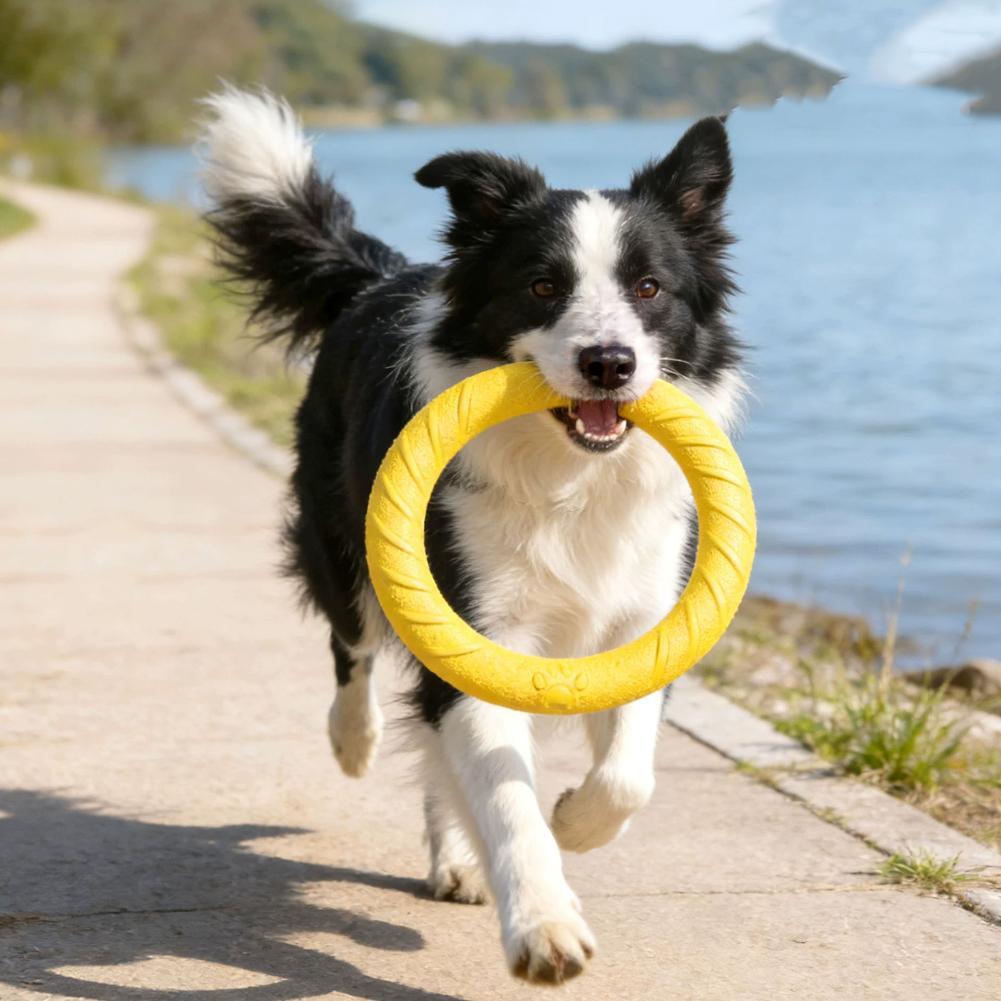 Köpek Oyuncakları: Kırılmaz, Ç - Pet Dental Chew Toy incelemesi ve fiyatı