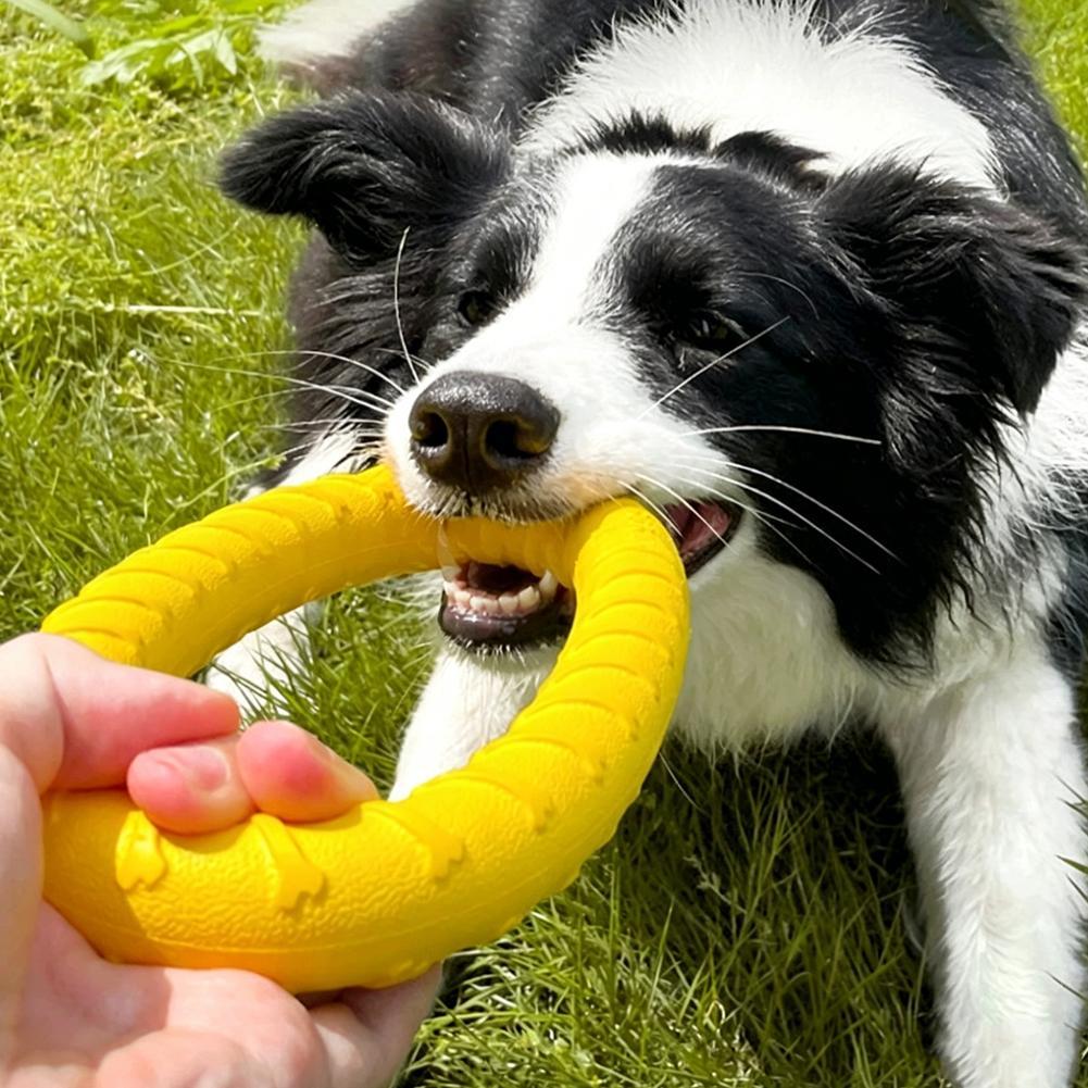 Köpek Oyuncakları: Kırılmaz, Ç - Pet Dental Chew Toy incelemesi ve fiyatı