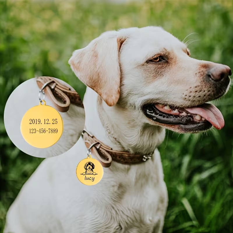 Özel Evcil Hayvan İsimli Köpek - Pet Supplies Direct incelemesi ve fiyatı
